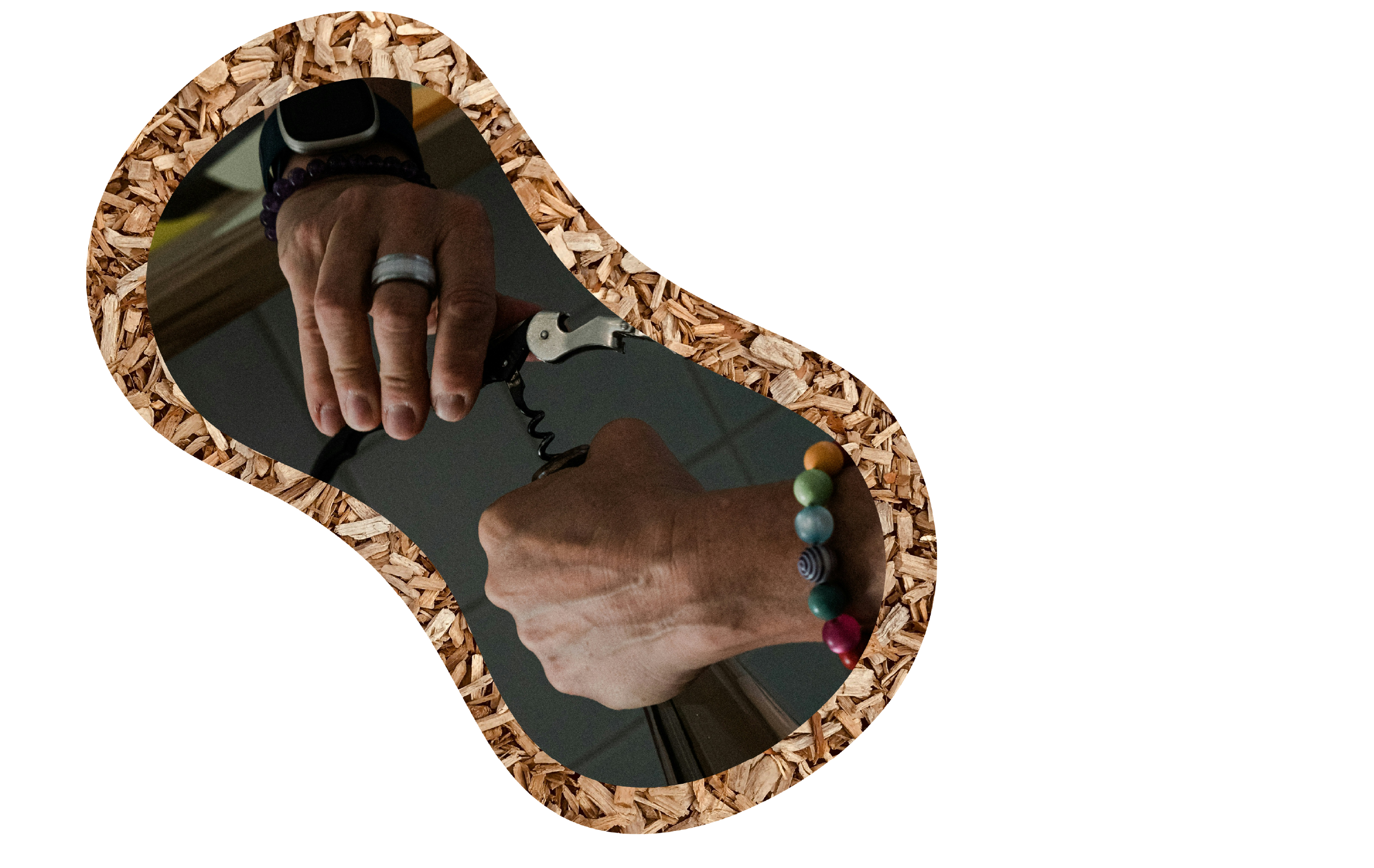 camarade_section_liege